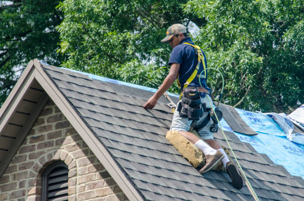 Quick and Trustworthy Emergency Roof Repair Services in Little River, SC